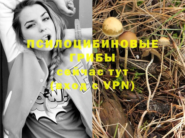 круглые Армянск