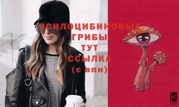 мет Аркадак