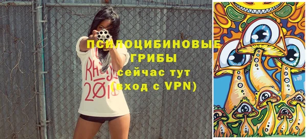 ПСИЛОЦИБИНОВЫЕ ГРИБЫ Арсеньев