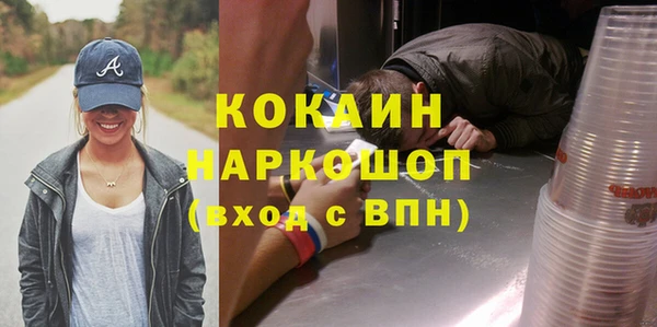 ПСИЛОЦИБИНОВЫЕ ГРИБЫ Арсеньев