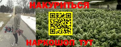 PSILOCYBIN Михайловск