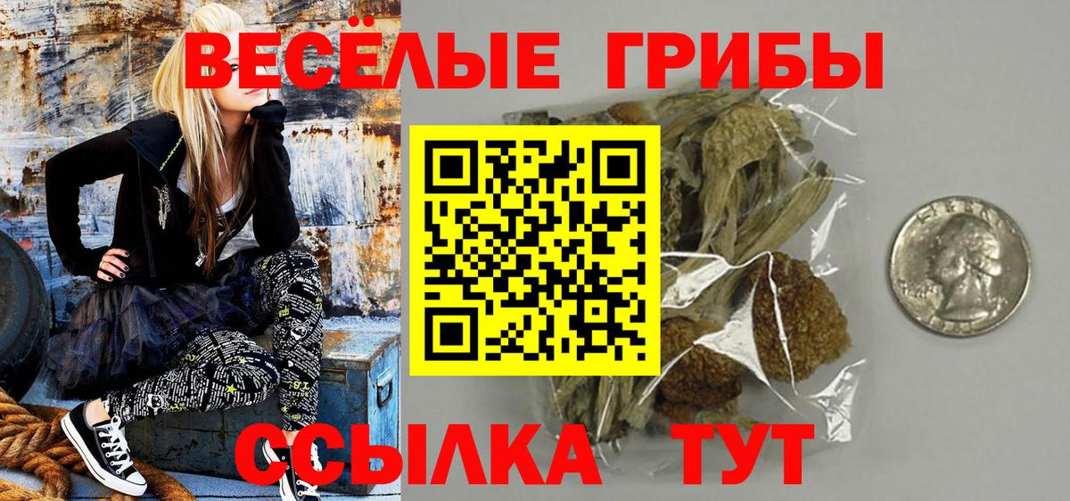 Галлюциногенные грибы Magic Shrooms  Вход с VPN  Псилоцибиновые грибы Psilocybine cubensis  наркота  Курган 